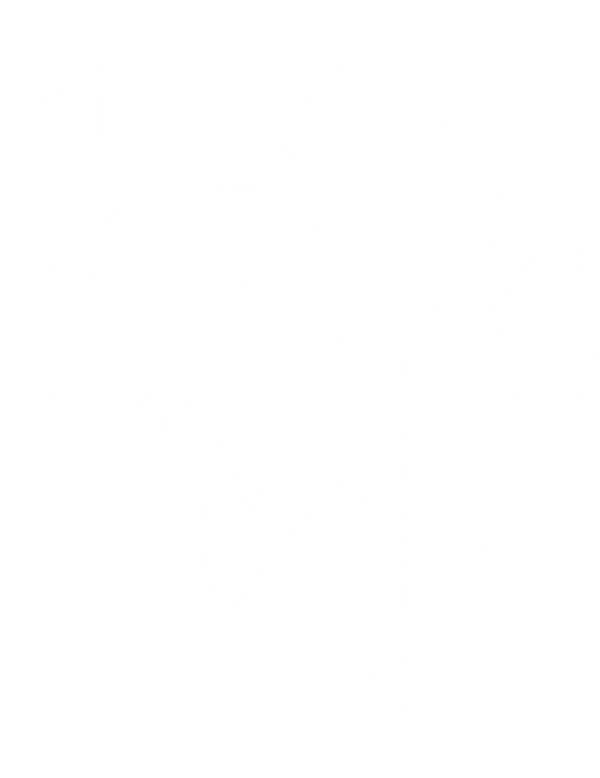 Phantom